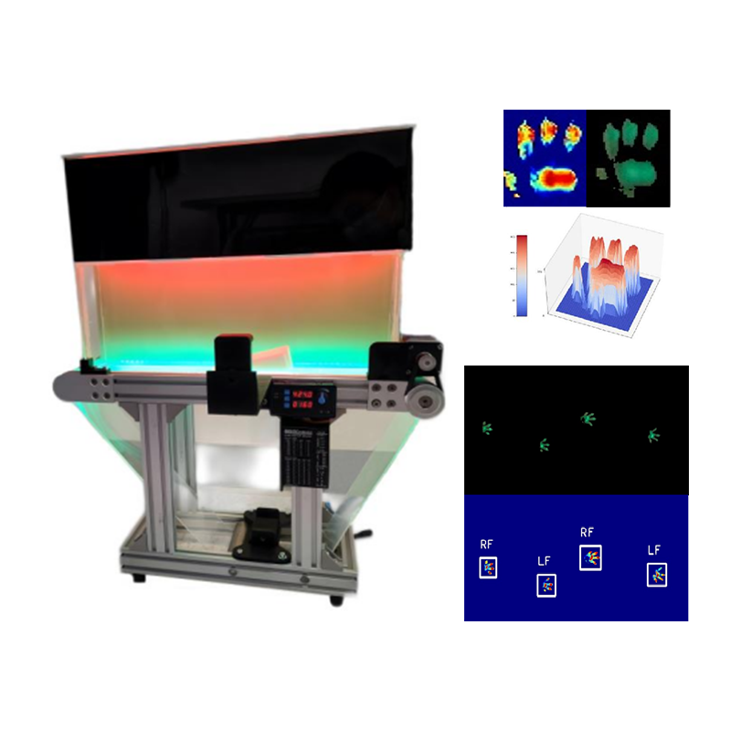 Animal Treadmill Gait Analysis System1